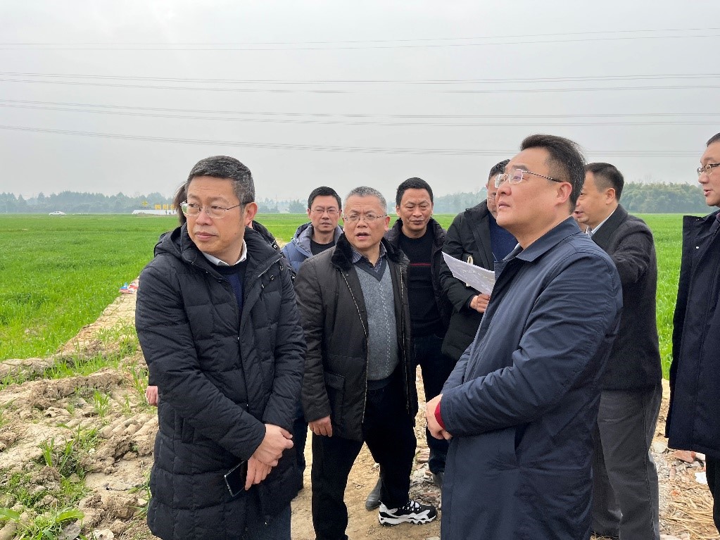 省社、省供投集團領(lǐng)導(dǎo)調(diào)研青白江區(qū)四川現(xiàn)代供銷種業(yè)園區(qū)