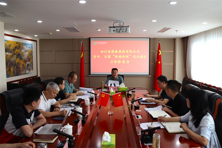 鄧華主持召開資中、萬源“兩端兩網”試點建設工作推進會