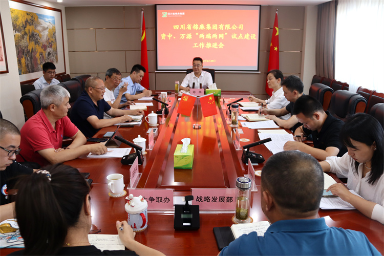 鄧華主持召開資中、萬源“兩端兩網(wǎng)”試點建設(shè)工作推進會