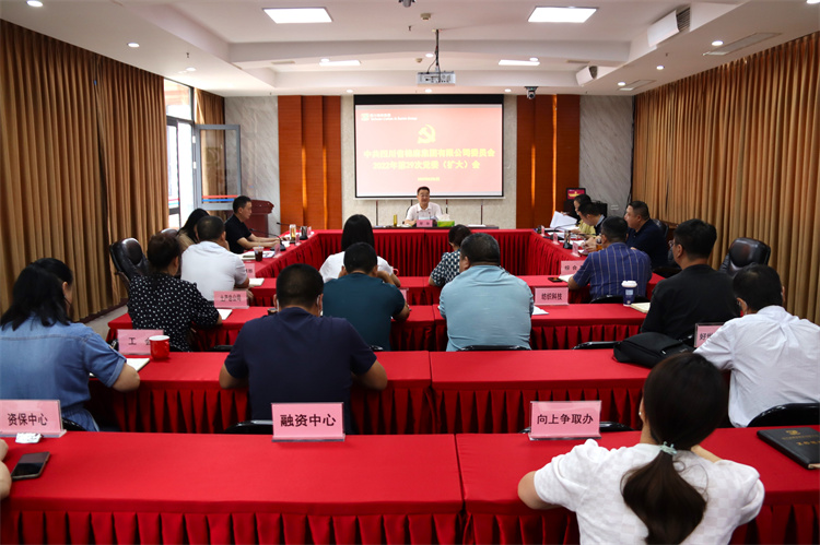 集團(tuán)公司召開2022年第29次 黨委（擴大）會議