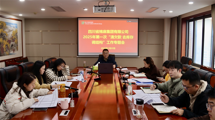 集團公司召開2025年第一次“清欠款、去庫存、調結構”工作專題會